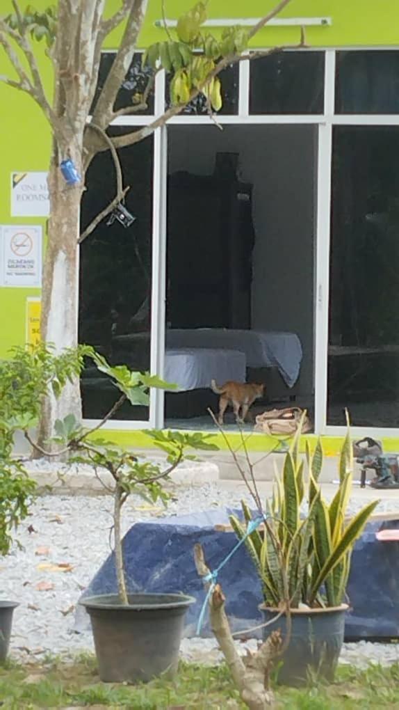 One Mek Studio Bachok Luaran gambar