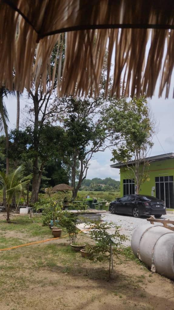 One Mek Studio Bachok Luaran gambar